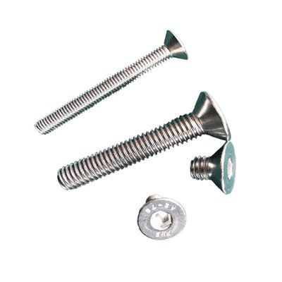 Schraube aus Edelstahl mit Flachkopf