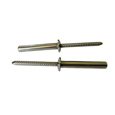 DIN-Standard Korrosionsbeständige geschlossene Enden aus Edelstahl Rundkopfblindniete