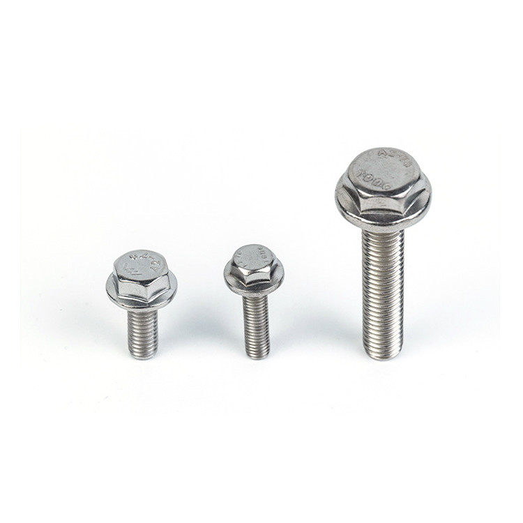 Zusammengepasste 304 316 A2 A4 Hex Flansche Titanmaschinengewebe Schraube für Edelstahl