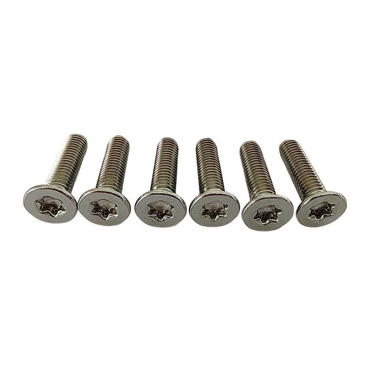 Edelstahlrunder Flachkopf Torx-Schraubmaschine Selbstschraubschraubschraub vollgespannt M3 M10