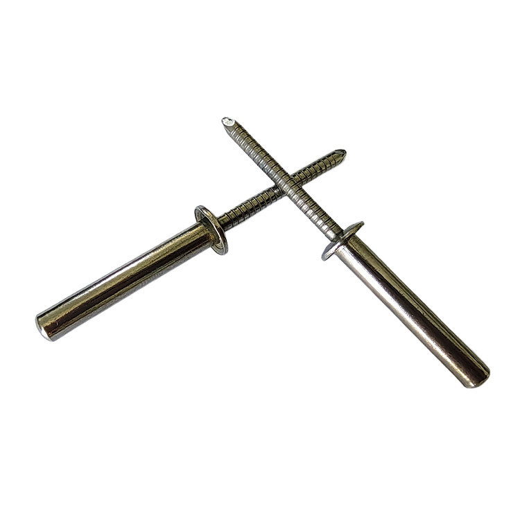 Schwerlast- und geschlossenes Rostfreies Rundkopfblindverschluss mit DIN-Standard