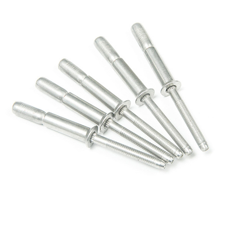 Silberne Edelstahl-Taschen-Typ Blindniete mit Kuppelkopf