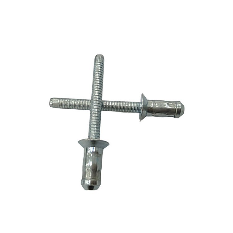 Einmaliger kundenspezifischer Service, hohler Niett aus Kohlenstoffstahl mit Hippocampusform